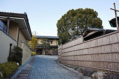 《怪物猎人：荒野》Steam峰值破百万 中文区评价差评如潮